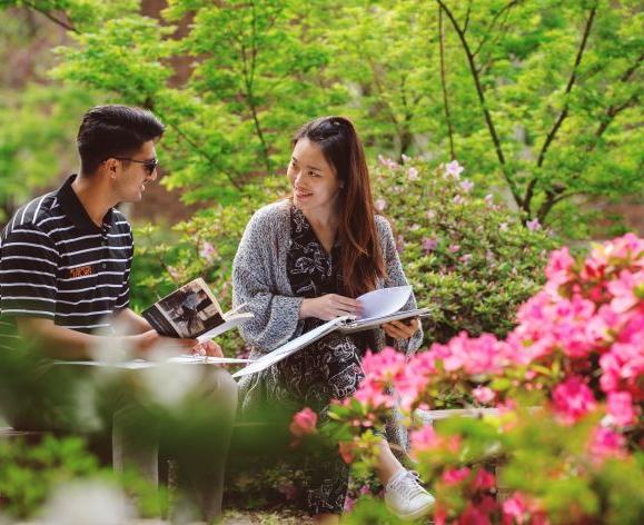 学生们坐在户外学习